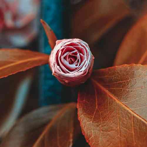 میثم حسینی هی خوندم از عمق نگات اما ندیدی گلم